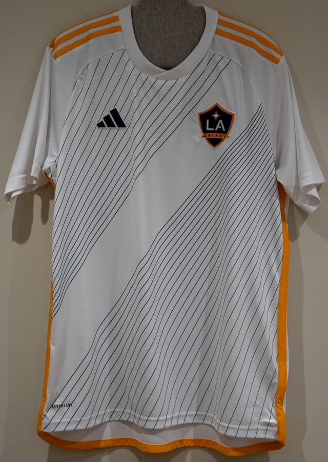LA Galaxy 24/25 Home