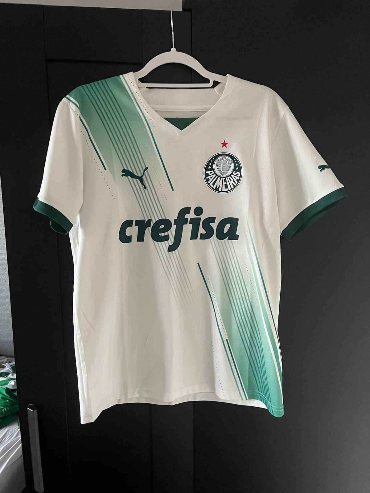 Palmeiras - Image 1