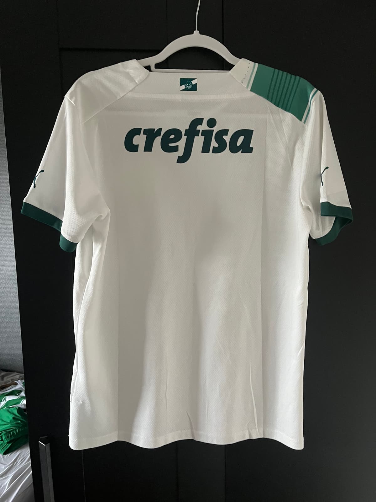 Palmeiras - Image 2