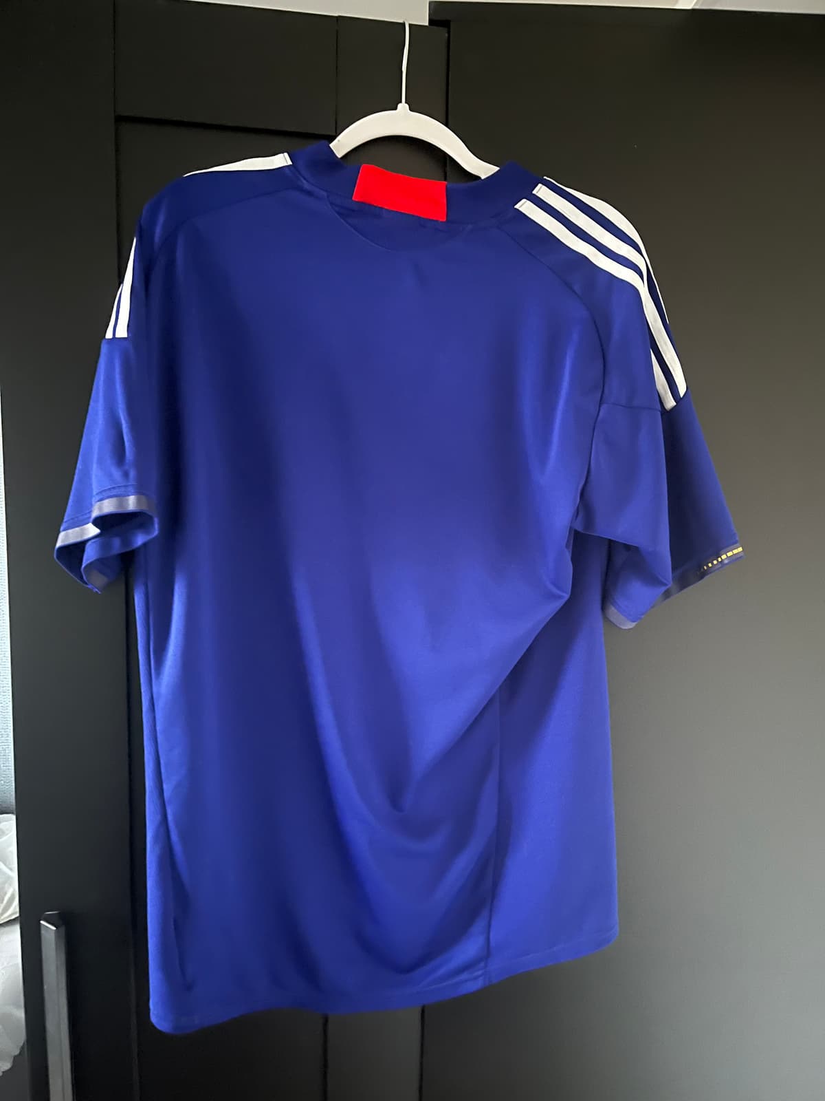 Japan 2010 home - Image 1