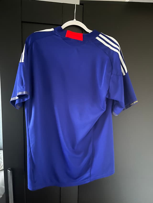 Japan 2010 home
